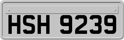 HSH9239