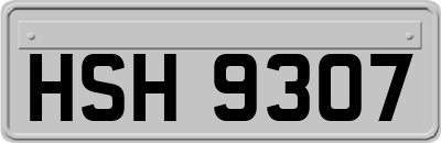 HSH9307