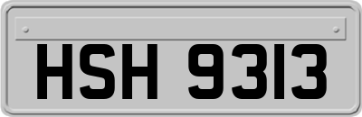 HSH9313