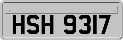 HSH9317