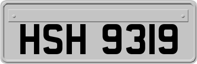 HSH9319