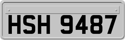 HSH9487