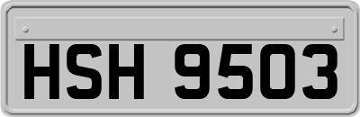 HSH9503