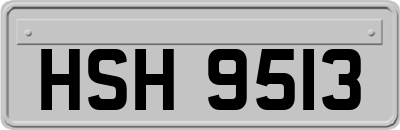 HSH9513