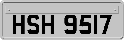 HSH9517