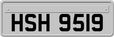 HSH9519