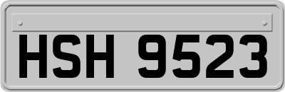 HSH9523