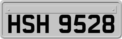 HSH9528