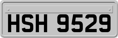HSH9529