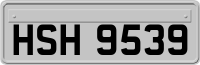 HSH9539