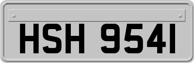 HSH9541