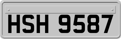 HSH9587
