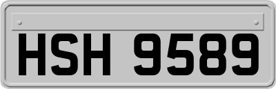 HSH9589