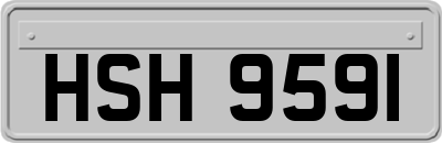 HSH9591