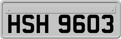 HSH9603