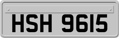 HSH9615