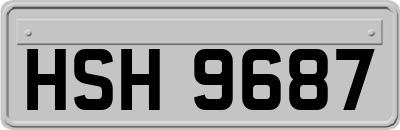 HSH9687