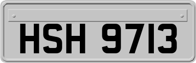HSH9713