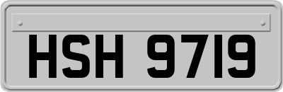 HSH9719