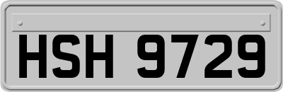 HSH9729