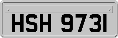 HSH9731