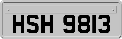 HSH9813
