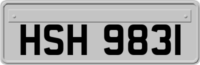 HSH9831