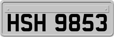 HSH9853