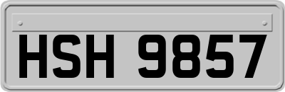 HSH9857