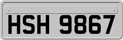 HSH9867