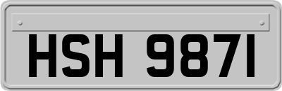 HSH9871