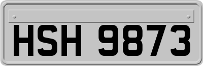 HSH9873