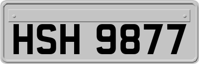 HSH9877