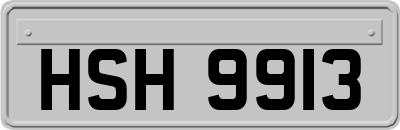 HSH9913