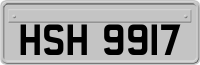 HSH9917