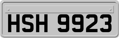 HSH9923