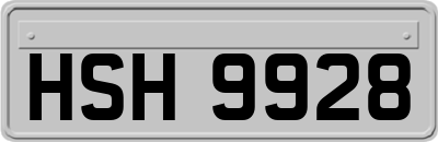 HSH9928