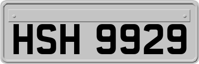 HSH9929