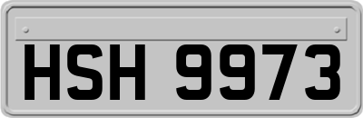 HSH9973