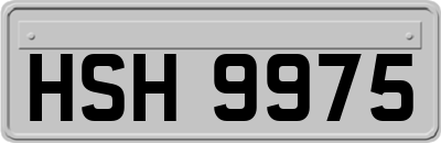 HSH9975