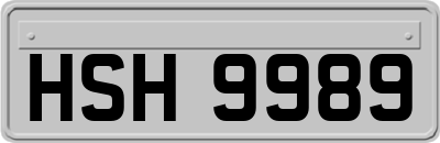 HSH9989