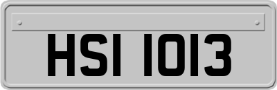 HSI1013
