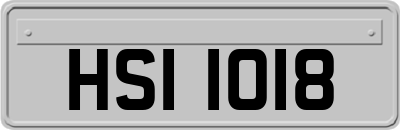 HSI1018