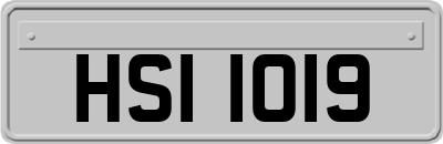 HSI1019