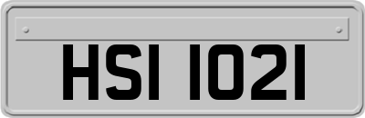HSI1021