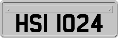 HSI1024