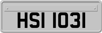 HSI1031