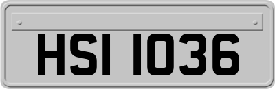 HSI1036