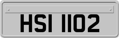 HSI1102