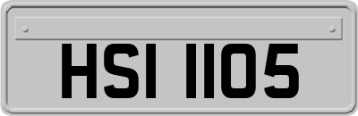 HSI1105
